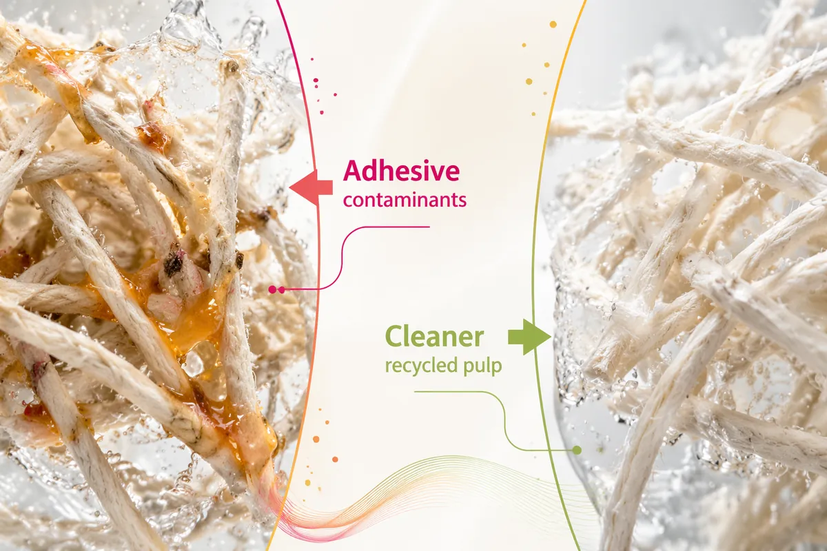 Recycled pulp fibres held together by sticky adhesive contaminants beside cleaner separated fibres